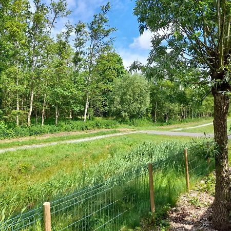 Wellnesshuis Met Hottub, Ligbad En Grote Tuin Villa Tzummarum Екстериор снимка